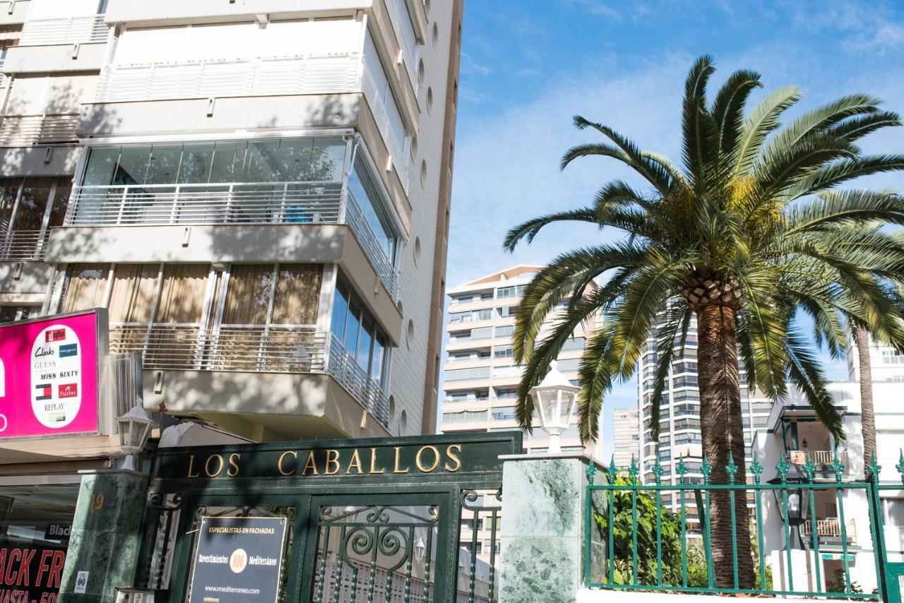 My Sweet Blue Apartment Benidorm Exterior foto